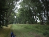 mg_5496